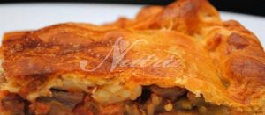 empanada_pisto-480x210 NUTRAEASE