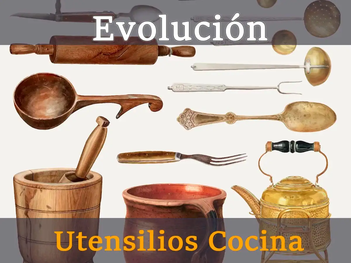 Evolución de los utensilios de cocina - NutraEASE