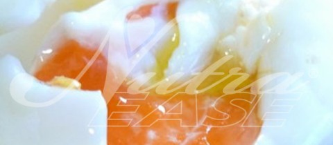 Huevos Poché al Oporto