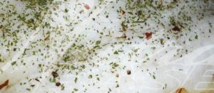 pescado_papillote-480x210 NUTRAEASE