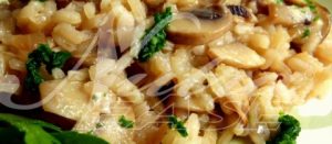 risotto_primavera-480x210_NutraEase