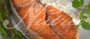 salmon_salsa_yogur-480x210_NutraEase