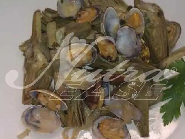 Alcachofas de Tudela