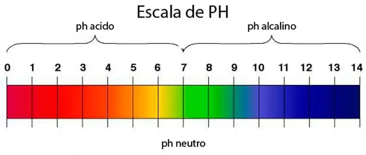 Escala de Ph Escala de Ph