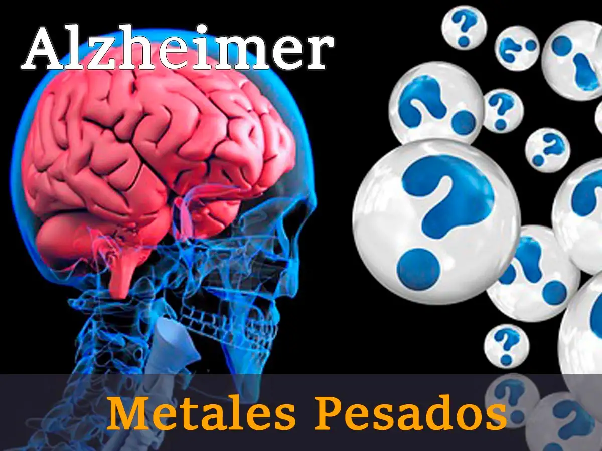 El Alzheimer y su Relación con el Aluminio y los Metales Pesados.
