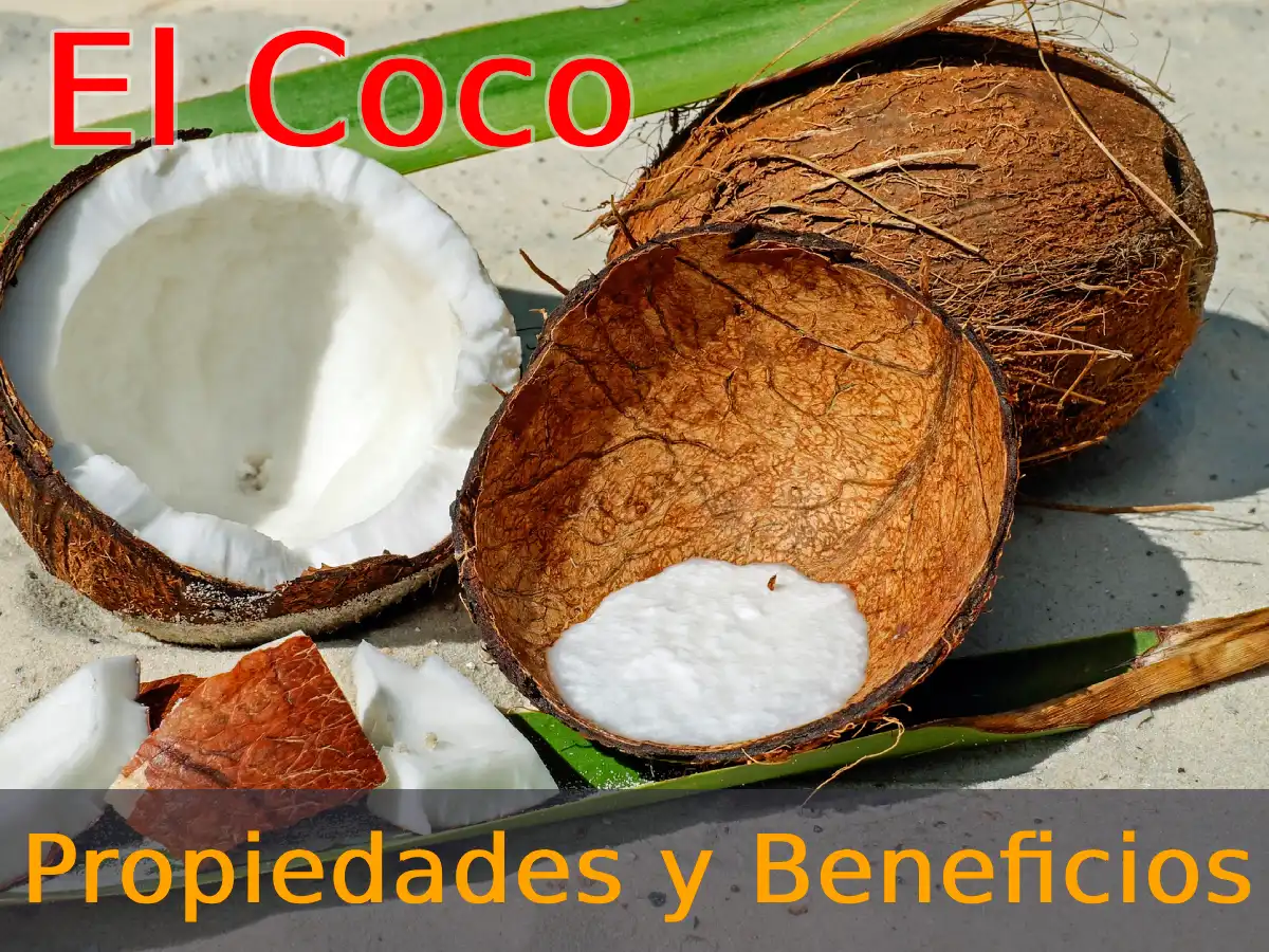 Descubriendo los Increíbles Beneficios del Coco para una Nutrición Saludable.