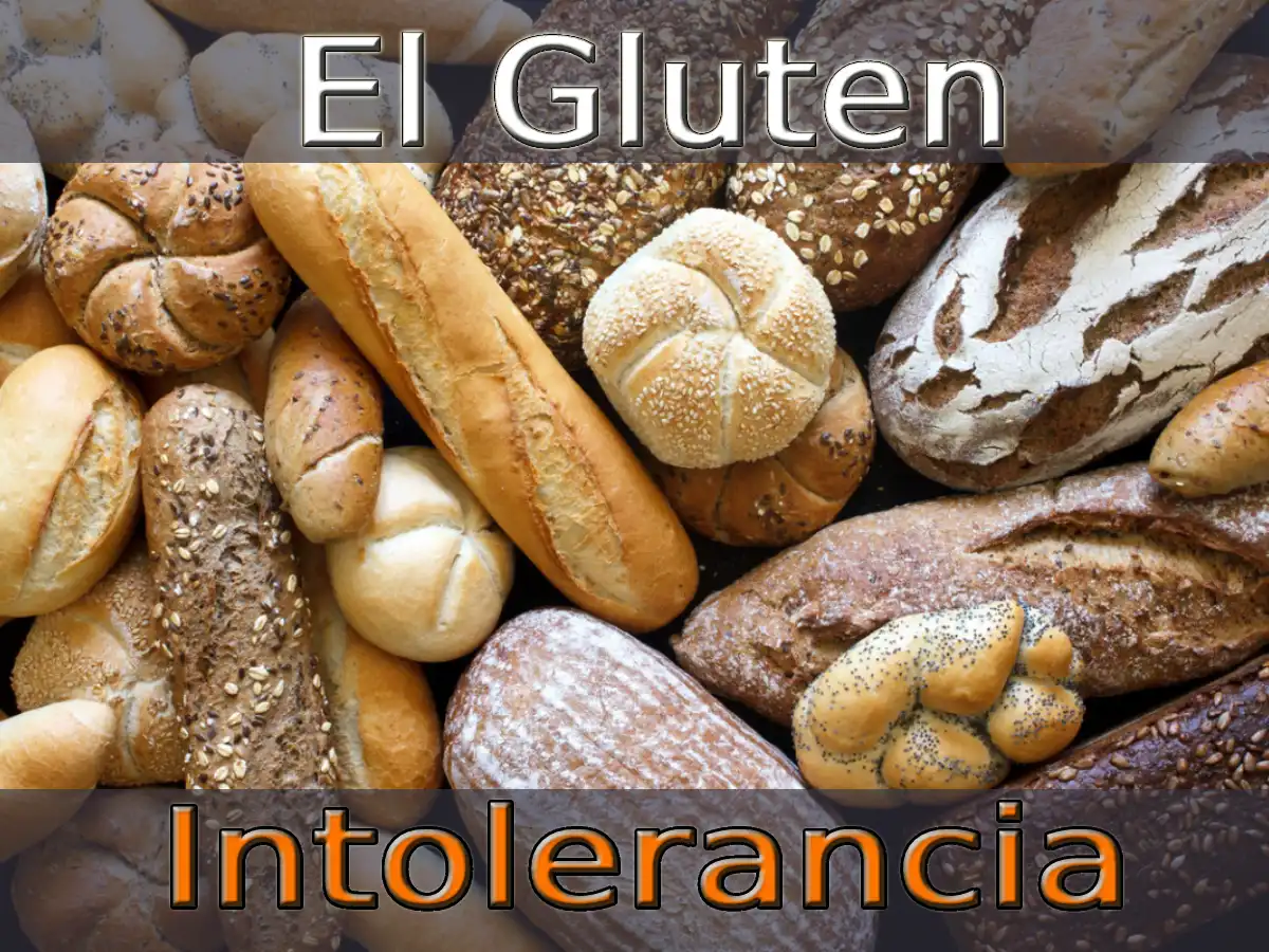 Intolerancia Al Gluten