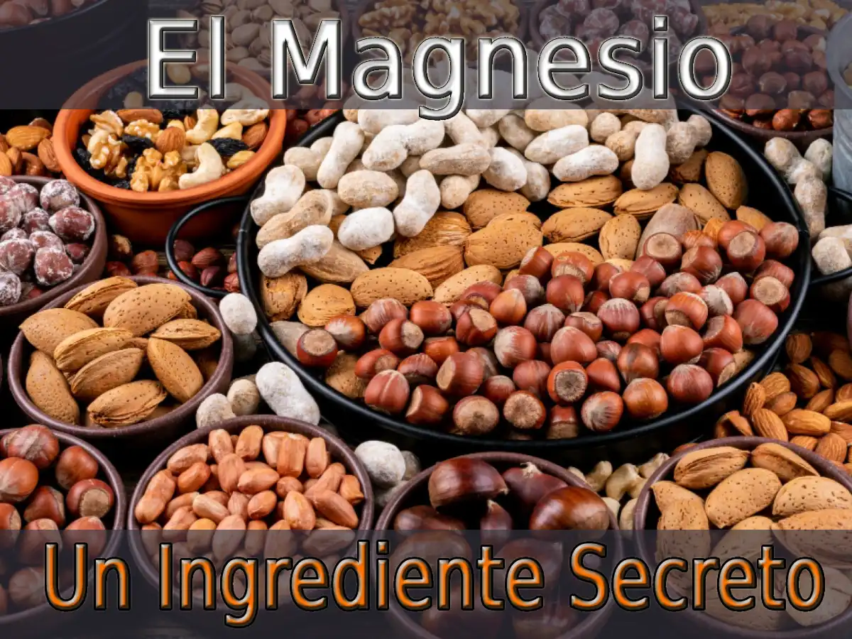 El Magnesio: Un Ingrediente Secreto