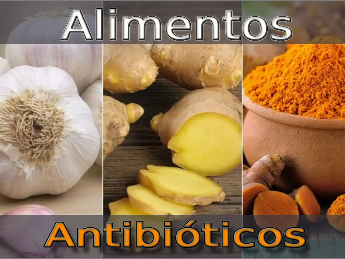 Alimentos Antibióticos: Una Ayuda Natural Para Tu Salud