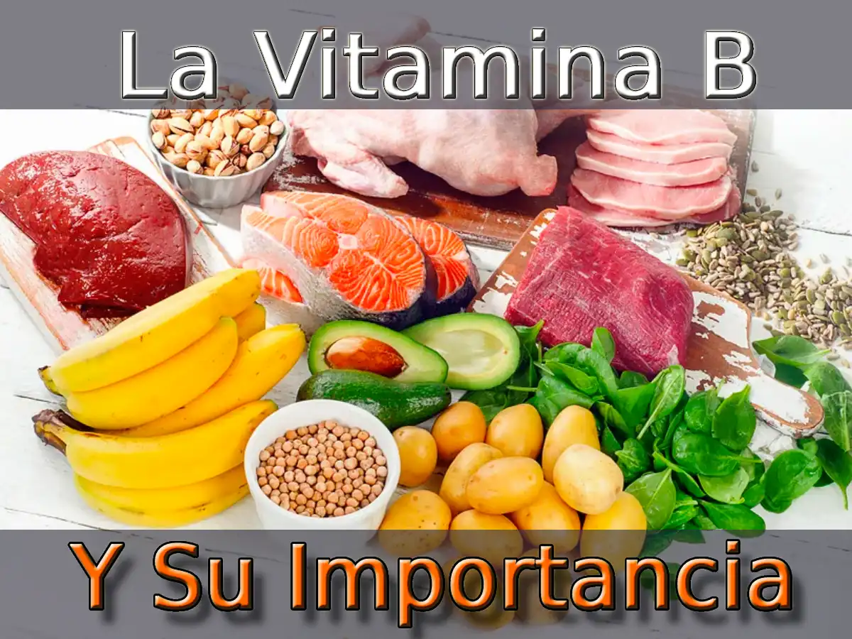 La Vitamina B Y La Importancia De Incluirla  En Tu Dieta Diaria