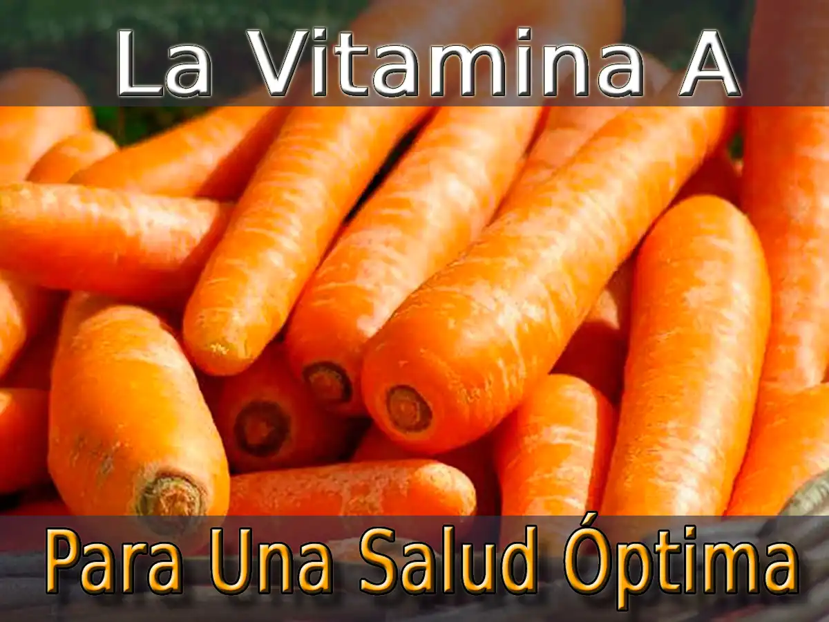 Vitamina A Cómo Incluirla En Tu Dieta Para Una Salud Óptima