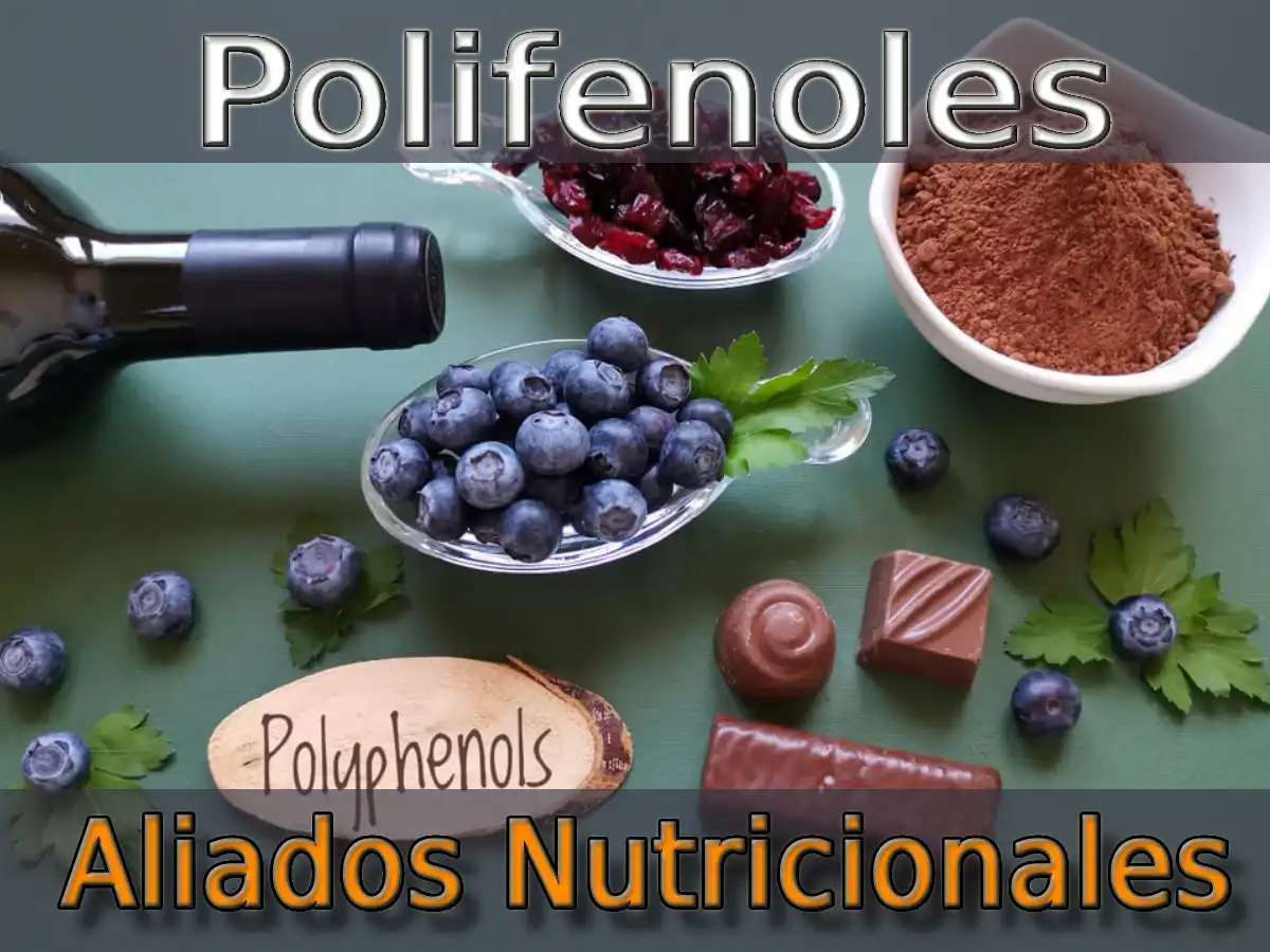 Los Polifenoles: Los Aliados Nutricionales De Tu Salud