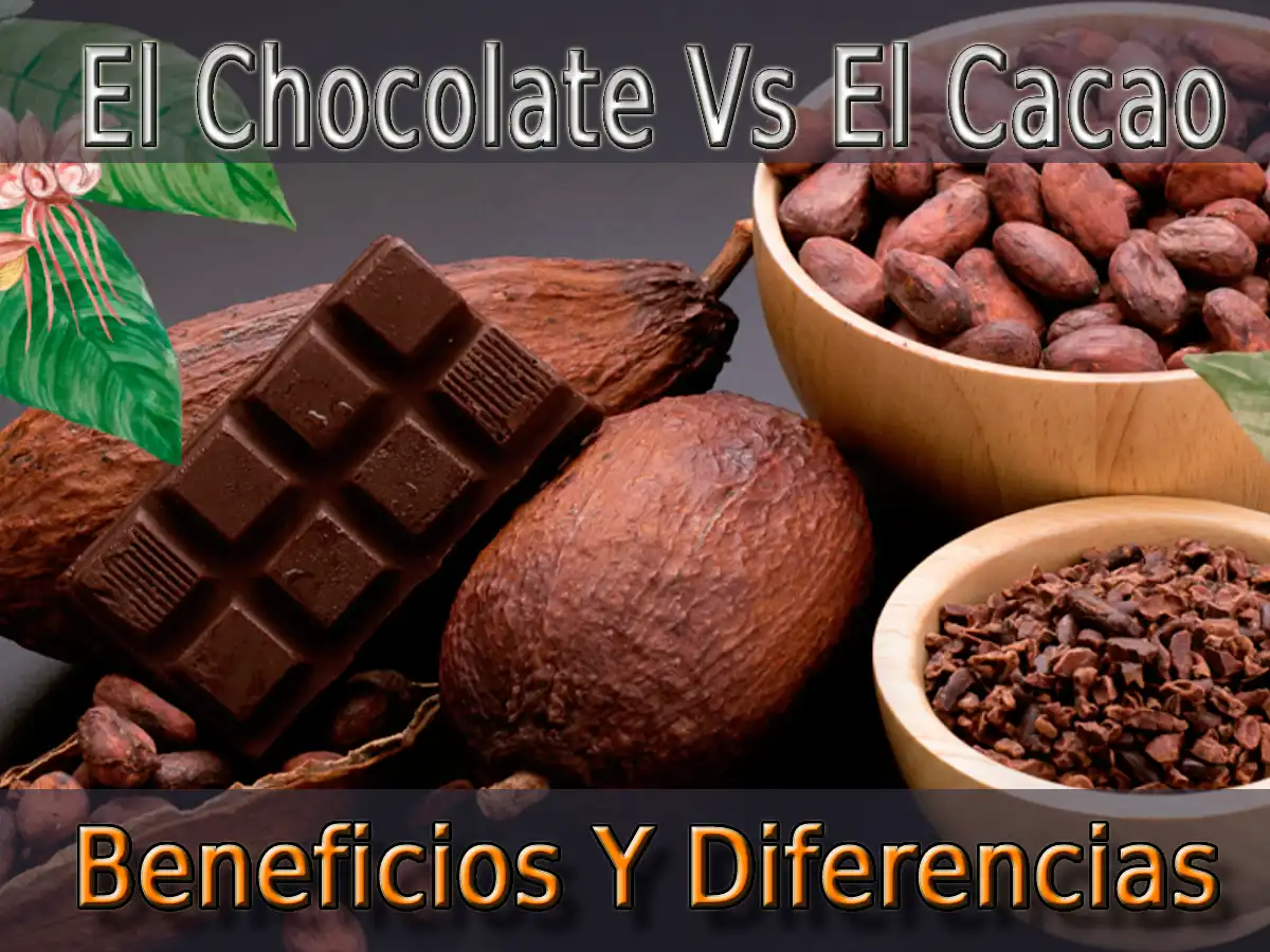 El Chocolate Vs. El Cacao: ¿Cuál Es La Mejor Elección?
