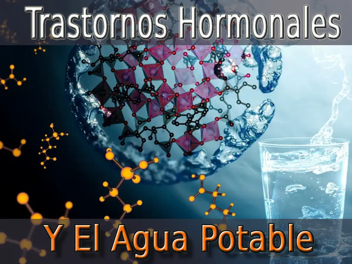 Trastornos Hormonales Y La Contaminación Del Agua Potable