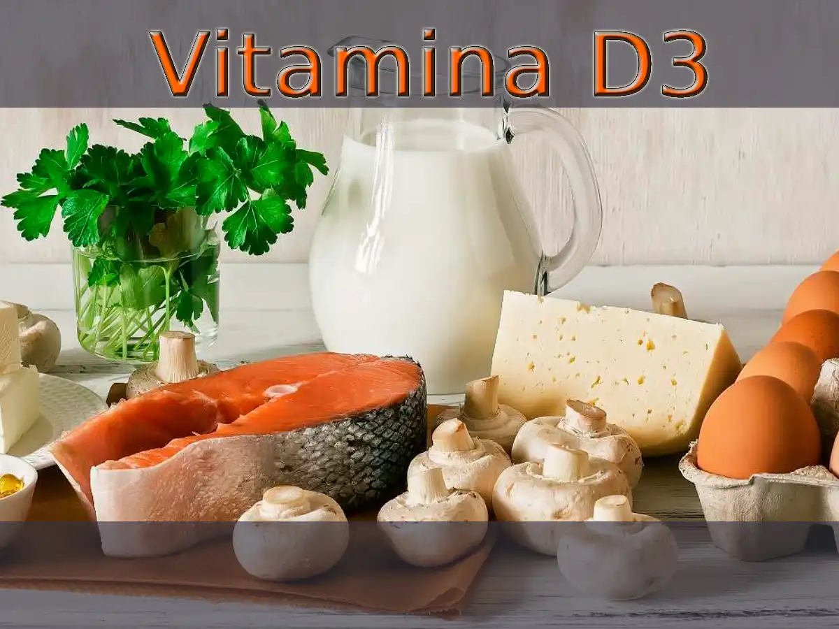 La vitamina D3: Descubre Cómo Incorporarla A Tu Dieta Diaria