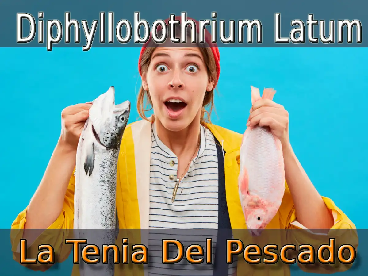 Diphyllobothrium Latum O La Tenia Del Pescado