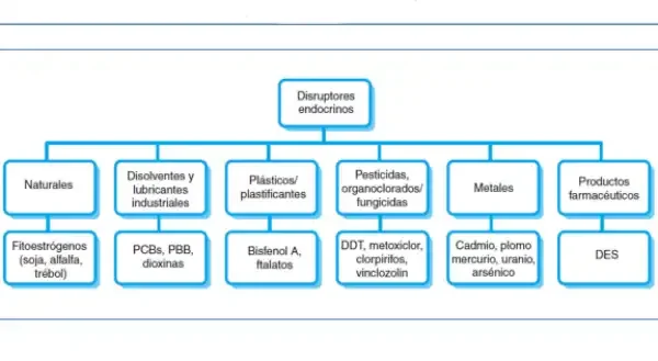 Clasificacion(Disruptores Endocrinos)