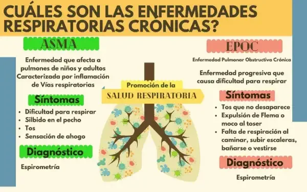 Cuáles_Son(Enfermedades Respiratorias)