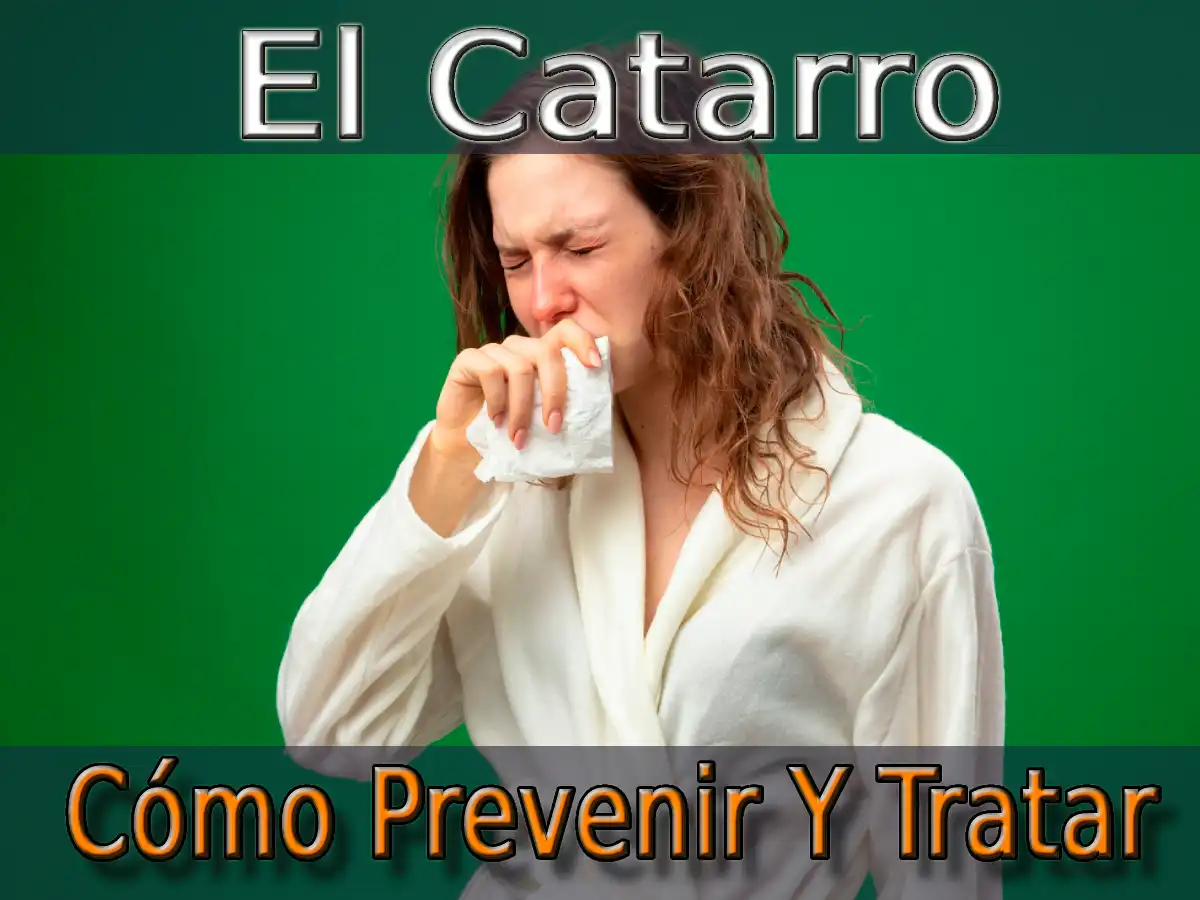 El Catarro Cómo Prevenir Y Tratar