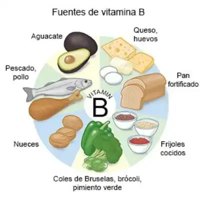 Fuente(Vitamina B)