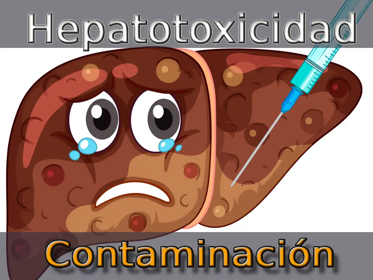 Hepatotoxicidad Y La Contaminación