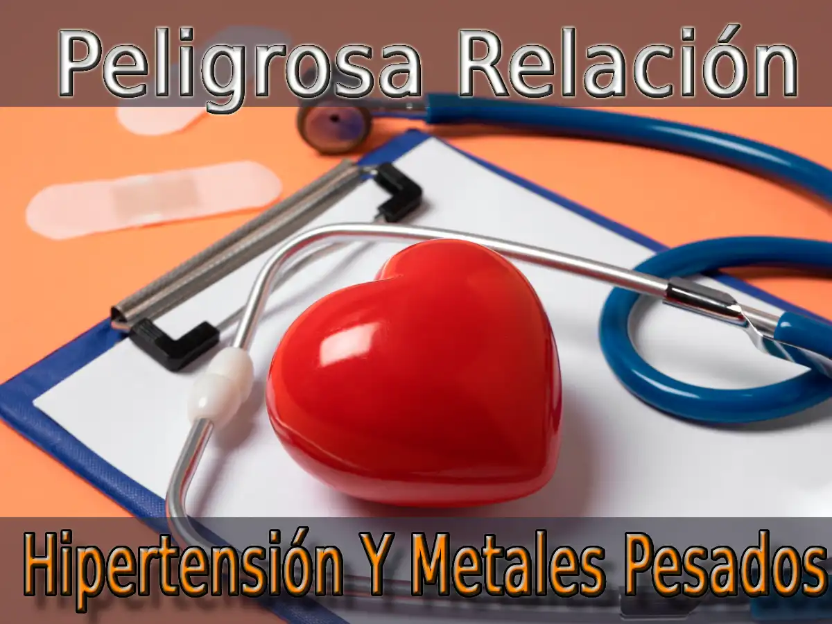 Hipertensión Y Metales Peasados Peligrosa Relaciòn