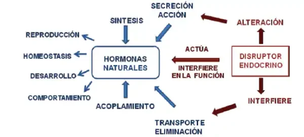 Mecanismo-De-Acción