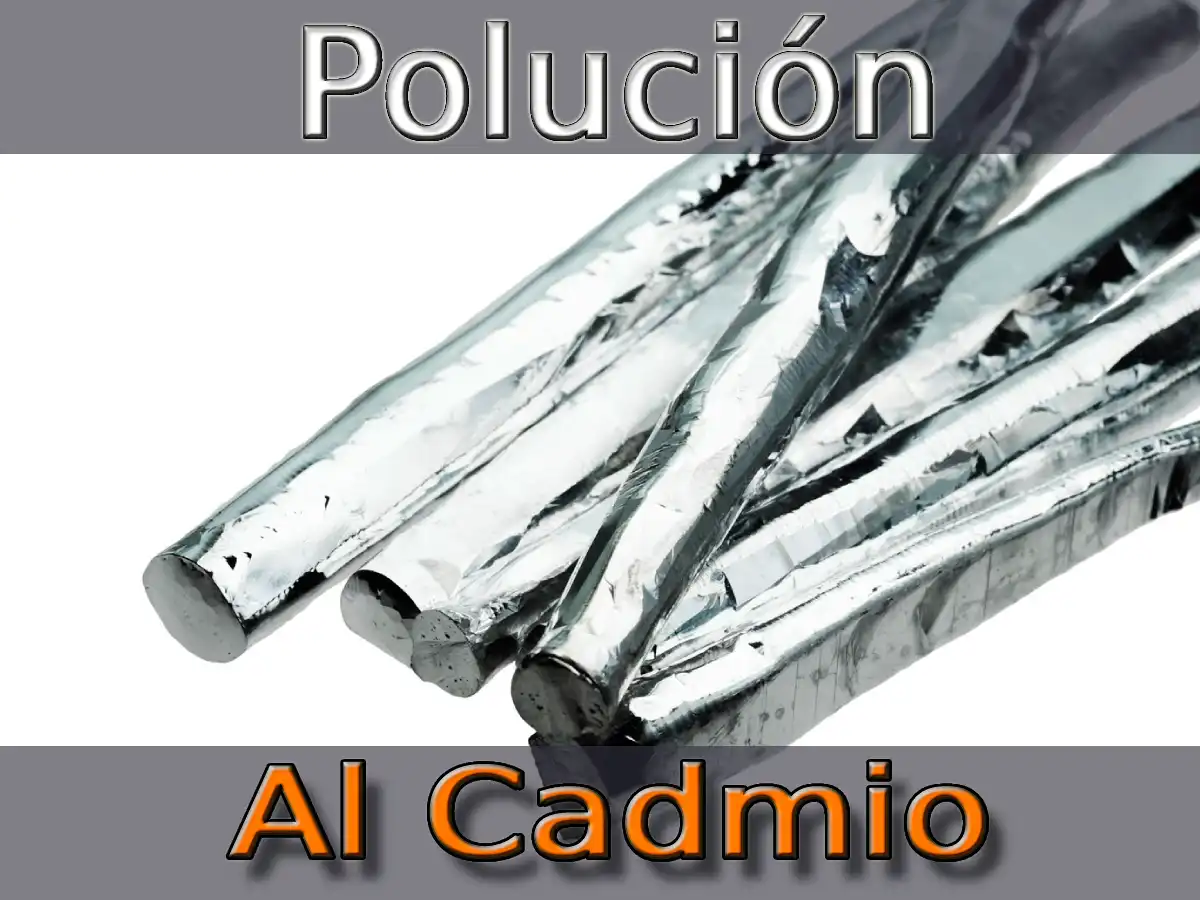 Polución Al Cadmio: Una Guía Completa