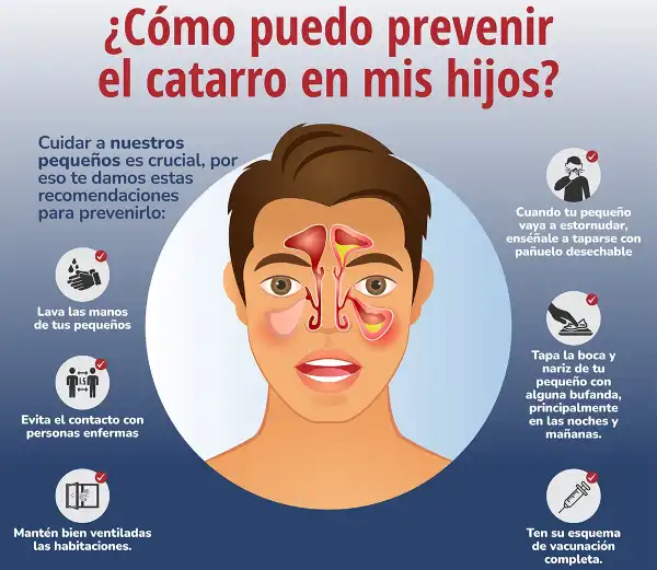 Prevenir-Catarro Prevenir-Catarro