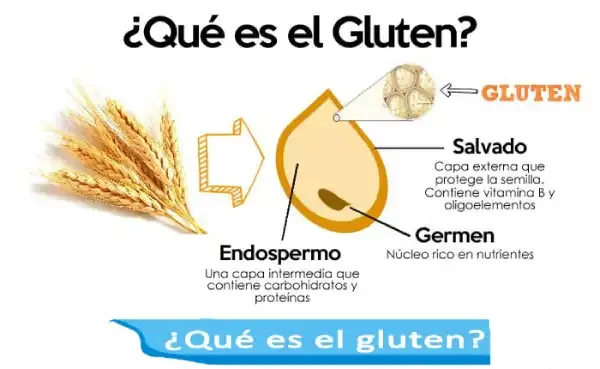 Que_Es_El_Gluten (Intolerancia)