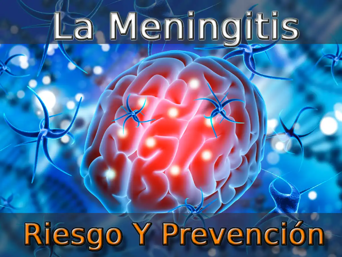 Riesgos De La Meningitis Y Cómo Protegerte